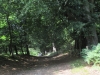 IMG_0012 - Edited