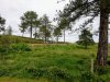 IMG_20210705_115812