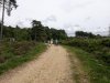 IMG_20210705_135428