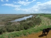 wells-next-the-sea-031-800x600
