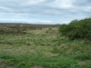 wells-next-the-sea-039-800x600